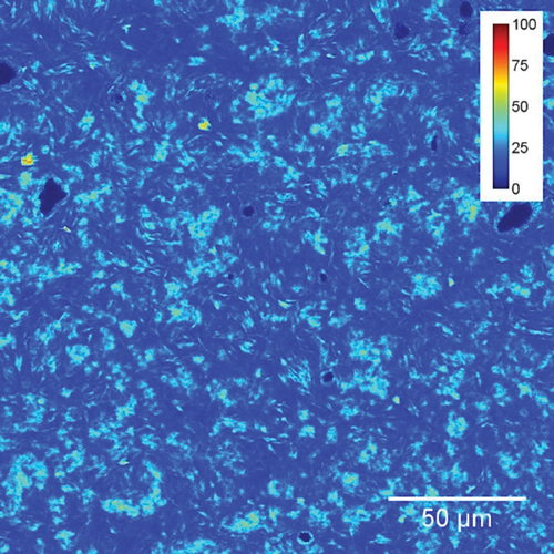 Quantitative Structural Analysis of Fat Crystal Networks by Means of Raman Confocal Imaging 