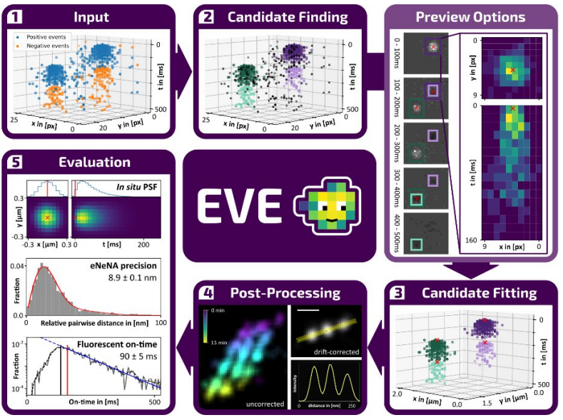 EVE is an open modular data analysis software for event-based localization microscopy 